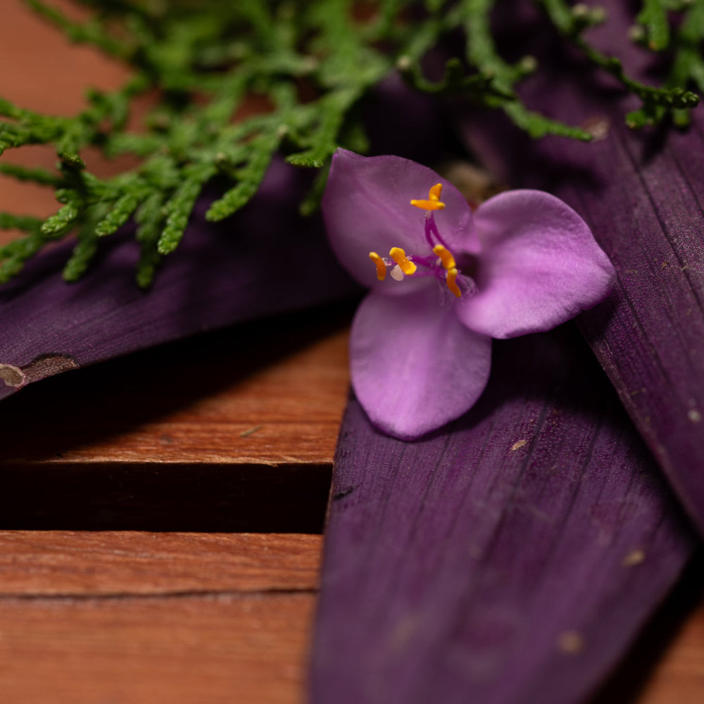 Natural Patchouli Incense