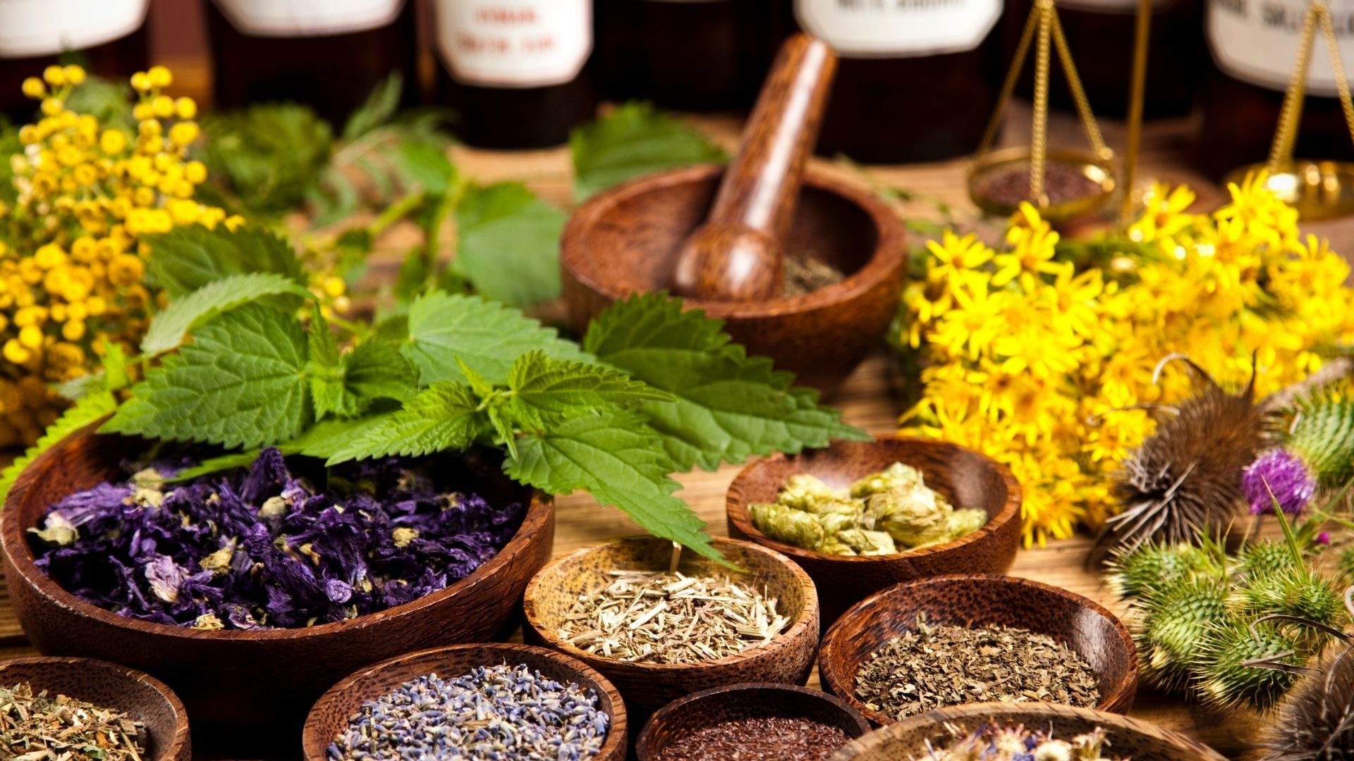 Herbs
