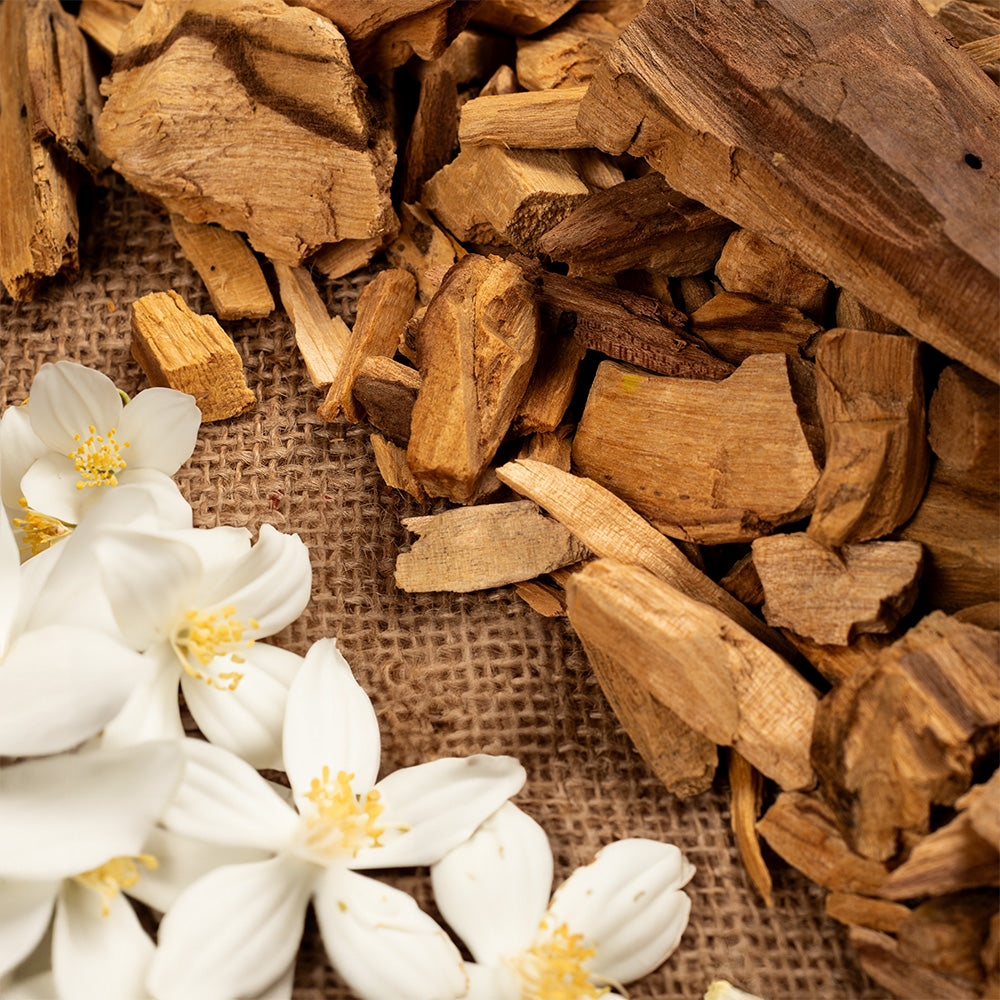 Palo Santo with Jasmine Incense